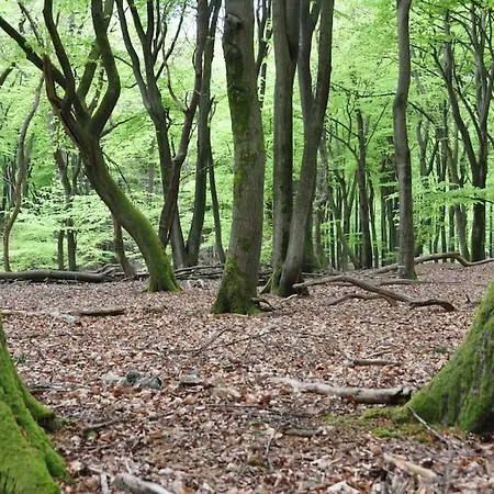 Ruim Vakantiehuis Dichtbij Bos En Heide Holiday home Putten