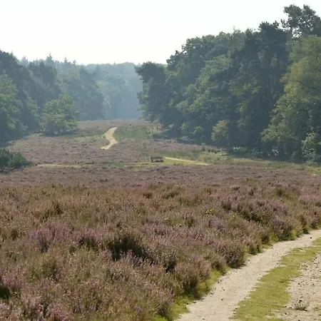 Ruim Vakantiehuis Dichtbij Bos En Heide Ferienhaus Putten