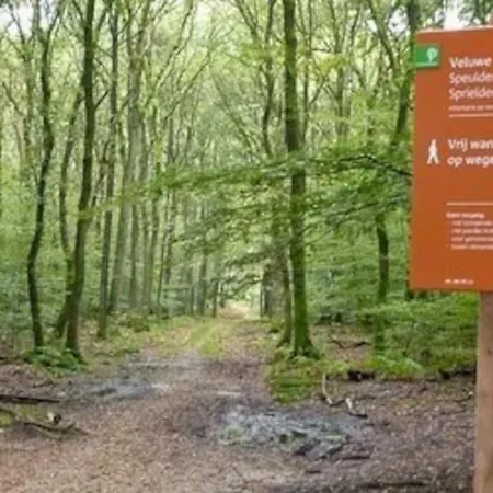 Ruim Vakantiehuis Dichtbij Bos En Heide Ferienhaus